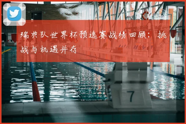 瑞典队世界杯预选赛战绩回顾:挑战与机遇并存