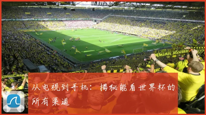从电视到手机：揭秘能看世界杯的所有渠道