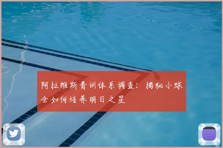 阿拉维斯青训体系调查：揭秘小球会如何培养明日之星