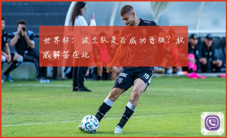 世界杯：波兰队是否成功晋级？权威解答在此